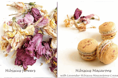 Hibiscus Macarons