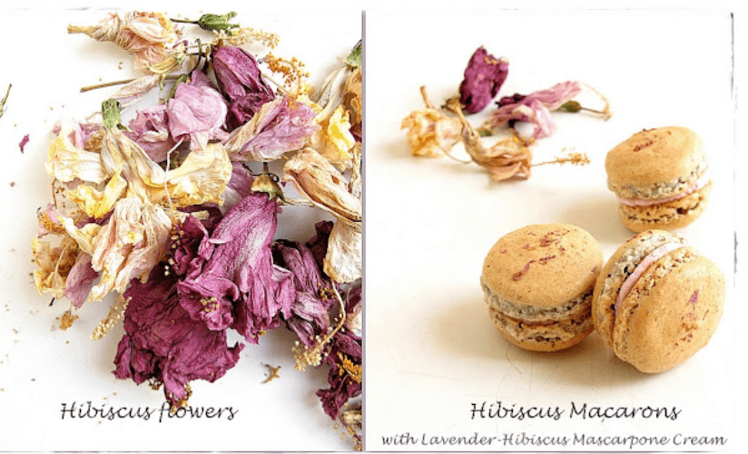 Hibiscus Macarons