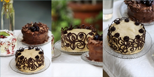 Kiwi-Strawberry Cream Cake, Espresso Coffee Cream Cake,Deep Chocolate with Burgundy Cherries Cake