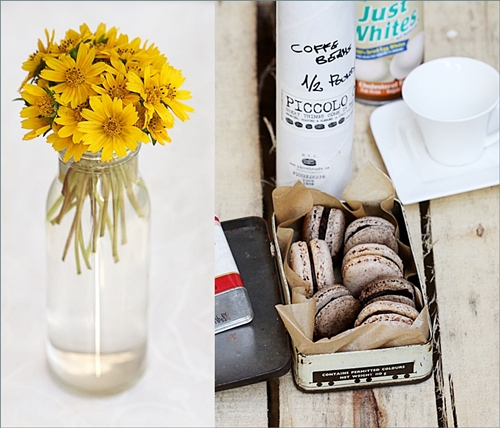 Fall Macarons - Coffee & Pumpkin Pie Spice