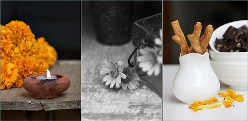 Cheddar Cheese Rosemary Straws