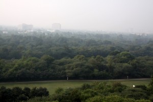 The view from The Oberoi rooftop...beautiful, lush, green Delhi!