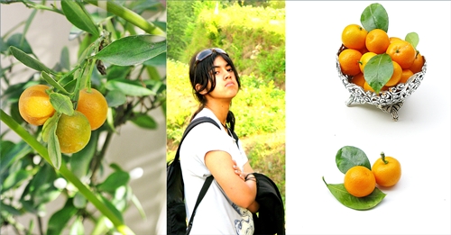 Chocolate Orange Almond Gateau