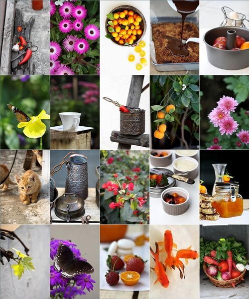 Spring in North India