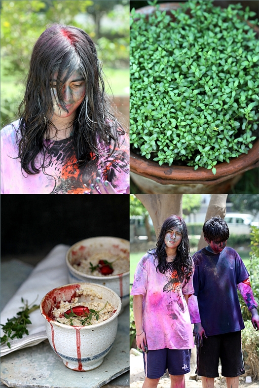 Holi - Indian summer