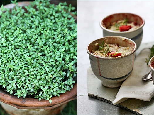 Strawberry Apple Crumble 