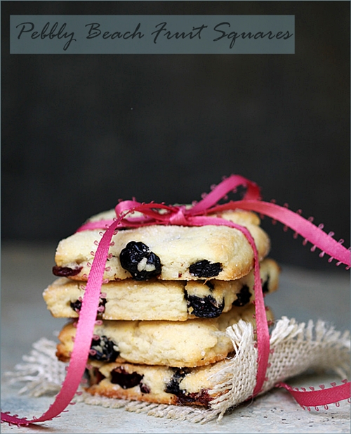 Pebbly Beach Fruit Squares