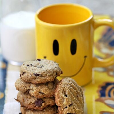 Chocolate Chip and Tart Cherry Cookies