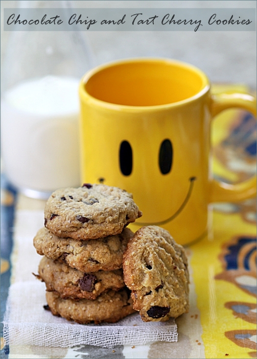 Chocolate Chip and Tart Cherry Cookies