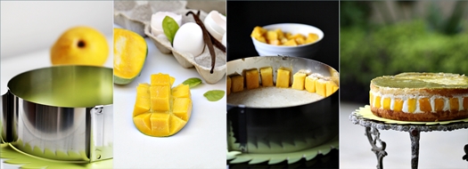 Le Fraisier Mangoes