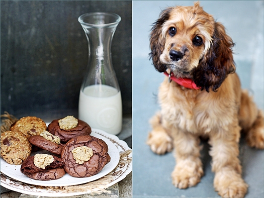 Double Chocolate Mousse Cookies & Coco