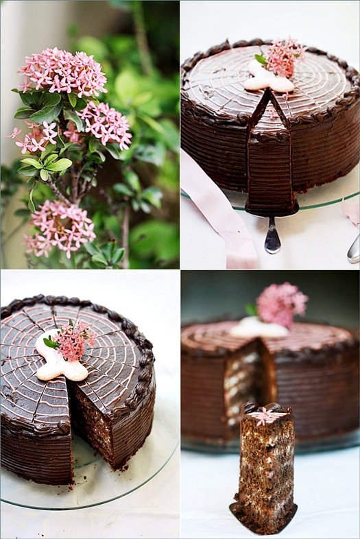 Chocolate & Strawberry Cream Cake 