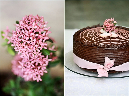 Chocolate & Strawberry Cream Cake