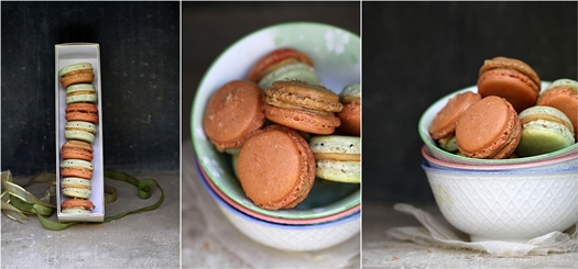 Lebkuchen and Garam Masala Macarons