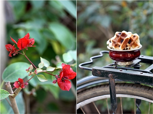 Vanilla Bean Chocolate Chip Wookies or Waffle Cookies