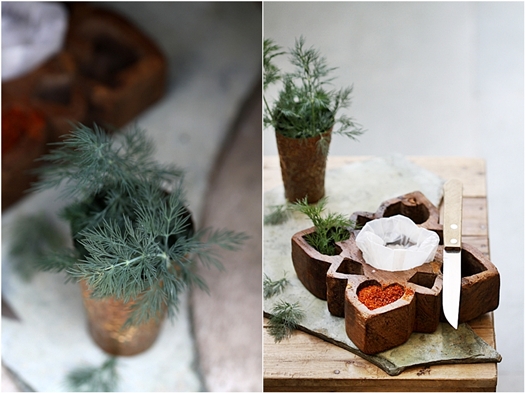 Savoury Dill Cheddar Buckwheat Sables