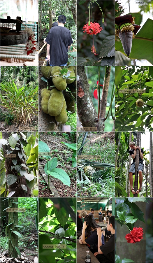 Sahakari Spice Farms Goa 