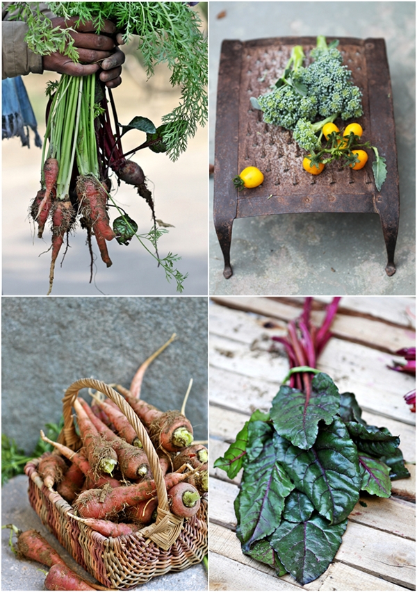 Dark Chocolate Beetroot Cake with Peanut Butter Filling  