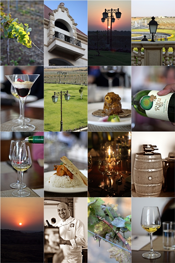 Four Seasons Vineyards, Baramati, Pune, India 