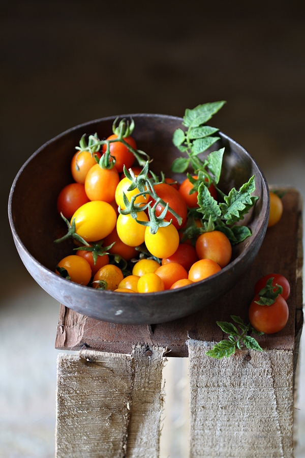 Day 17 – Create Harmony and Balance