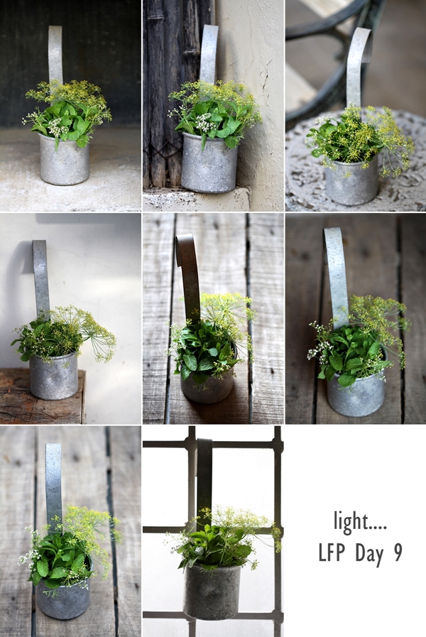 Learning food photography... light