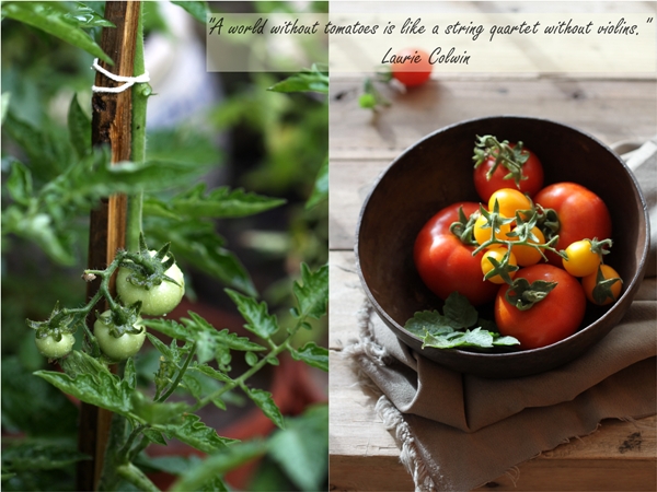 Playing with light 2