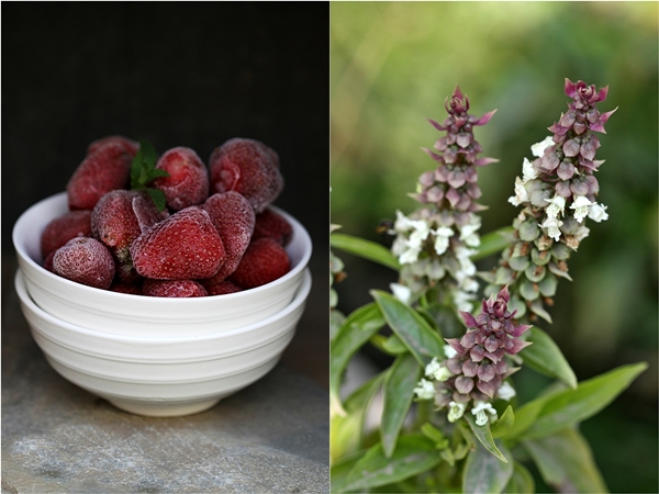 Strawberry Basil Fro Yo  