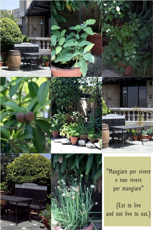 With Chef David Rocco, ITC Maurya, New Delhi 