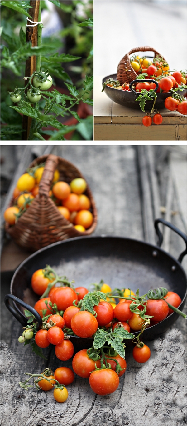 Spicy vine tomato relish 