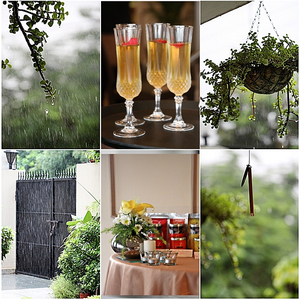 Anindini Himalaya Tea