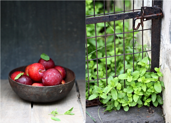 Plums summer stone fruit
