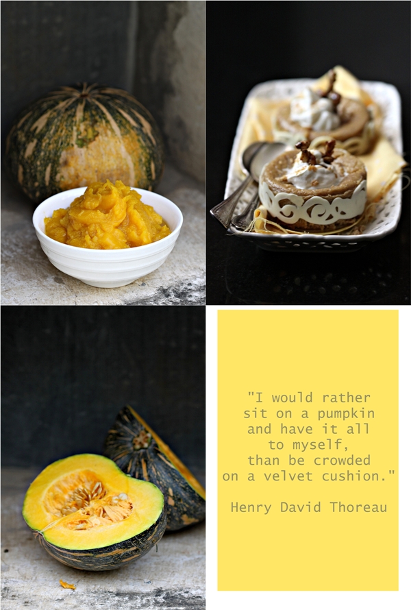 Pumpkin Custard Pies