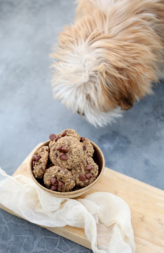 Wholegrain Buchkwheat Orange Chocolate Chippers