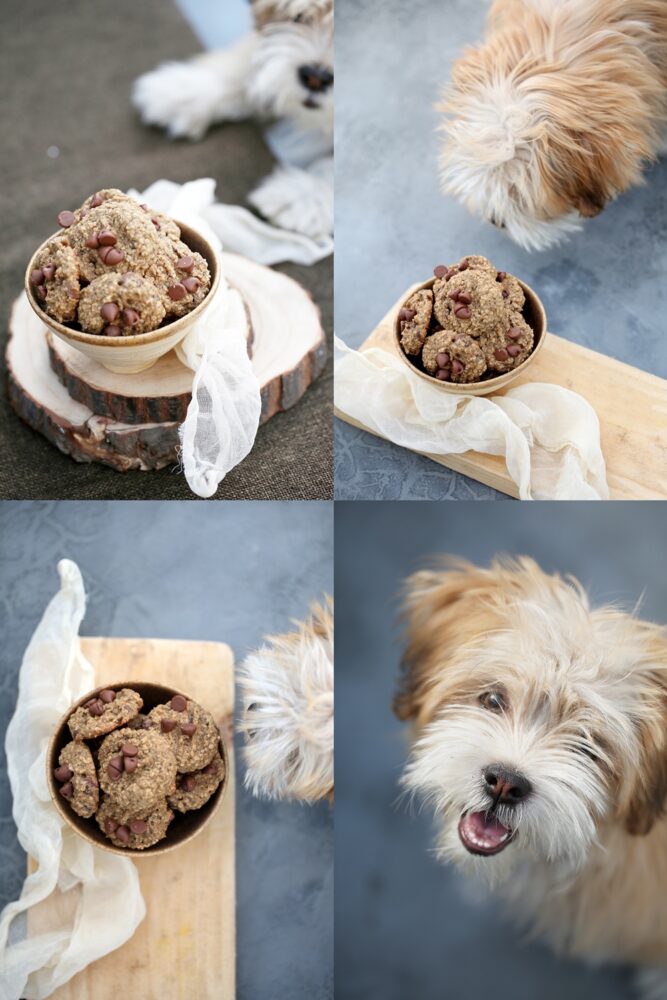 Wholegrain Buckwheat Orange Chocolate Chippers Bambi