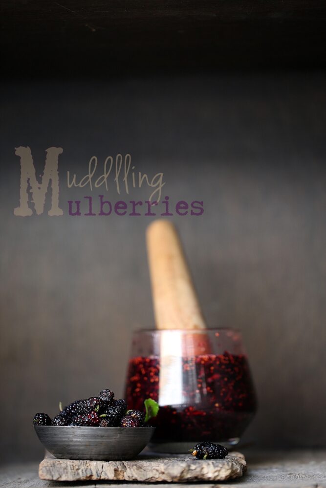 Muddling Mulberries 1000