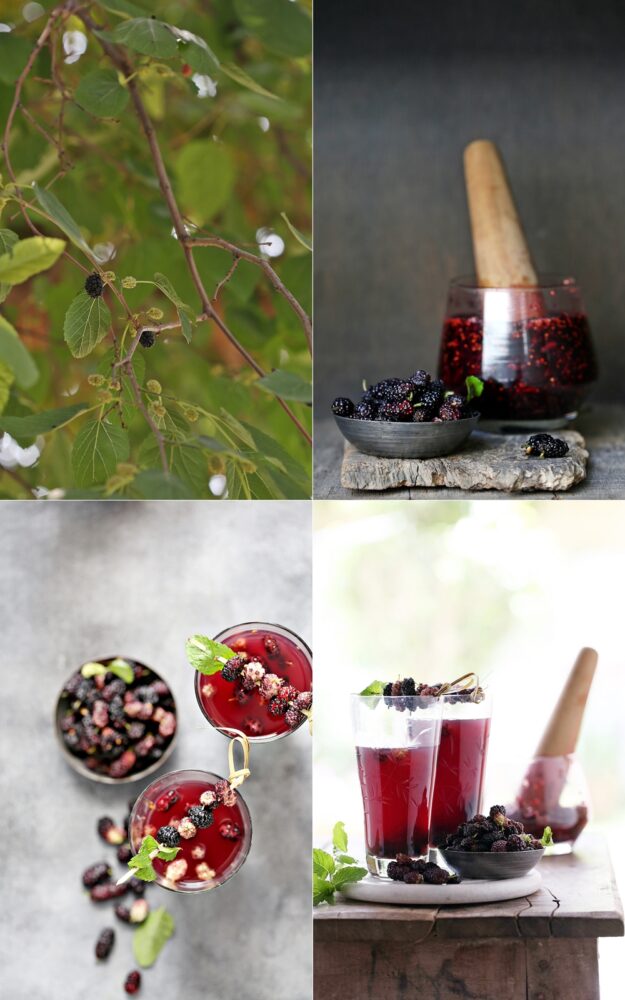 Mulberry Lime Cooler 2