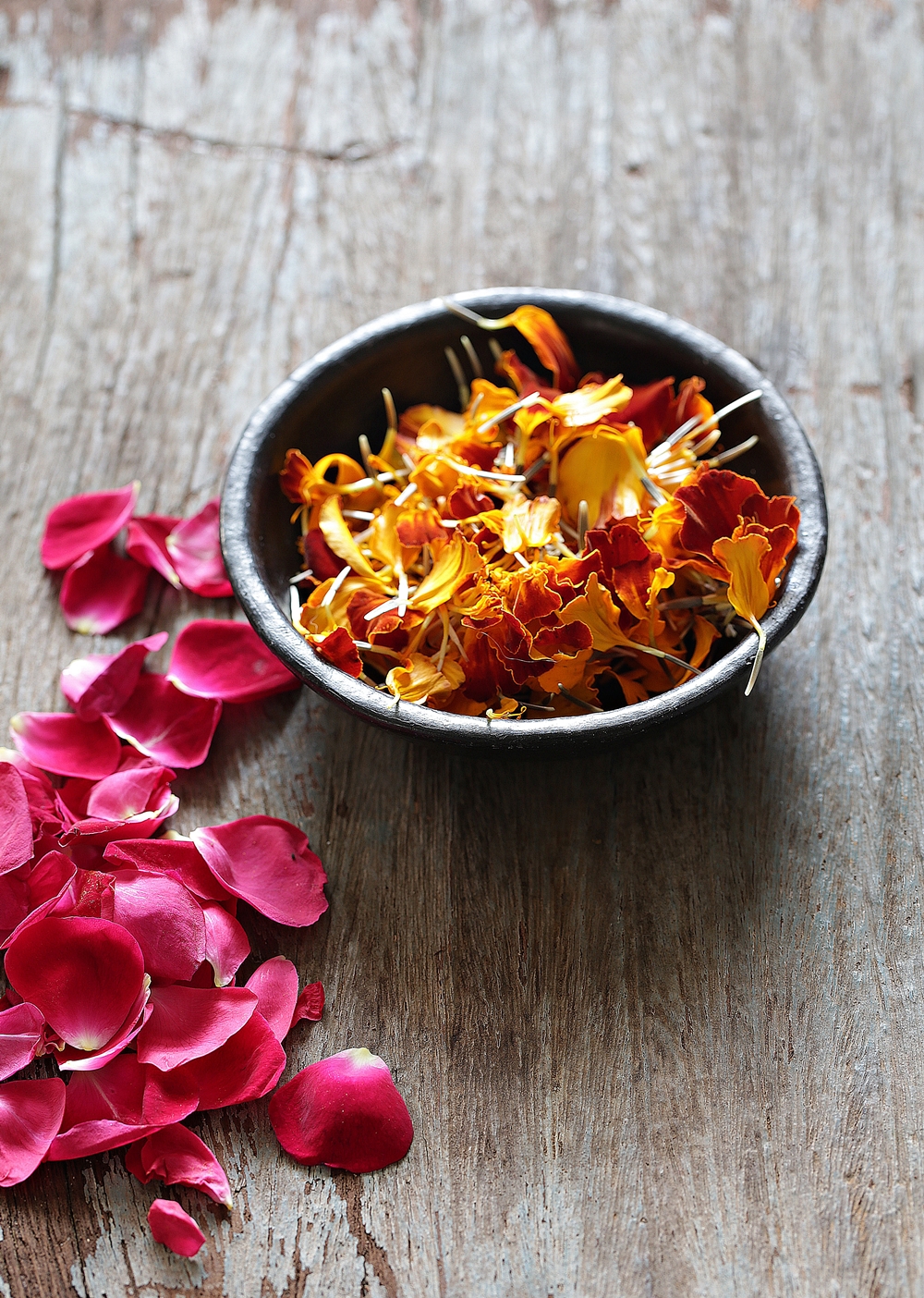 Marigold & Rose petals, Holi