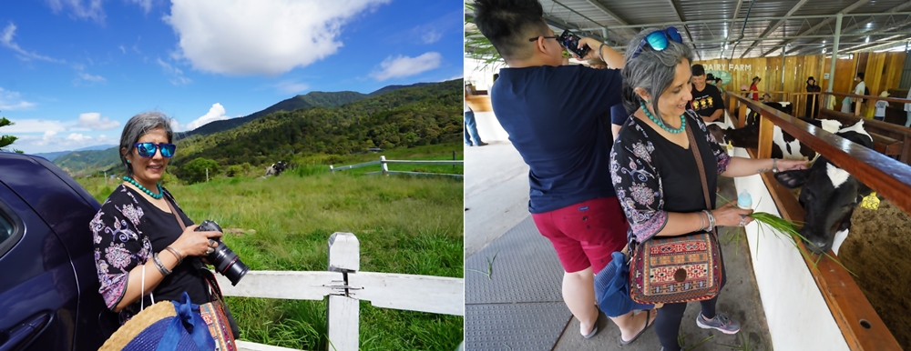 Desa Dairy Farm, Sabah, Malaysia