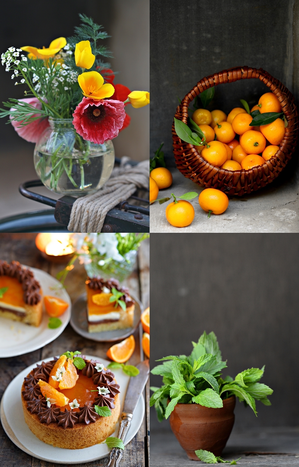 Eggless Chocolate Orange Cavity Cake