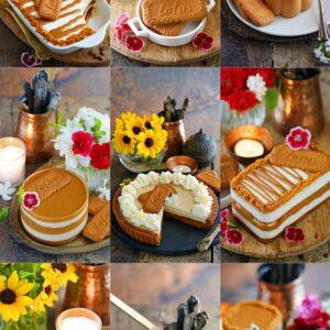 Simply Delicious Lotus Biscoff Desserts you need to try... one for every day of the week!