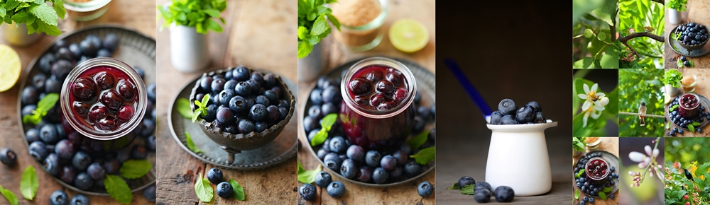 Blueberry compote 5