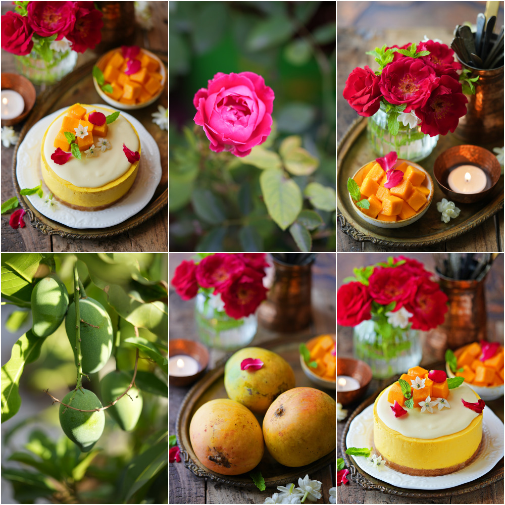 The simplest & most delicious No-Bake Mango Cheesecake Recipe