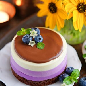 Ombre Blueberry Cheesecake Recipe - No bake, no gelatine
