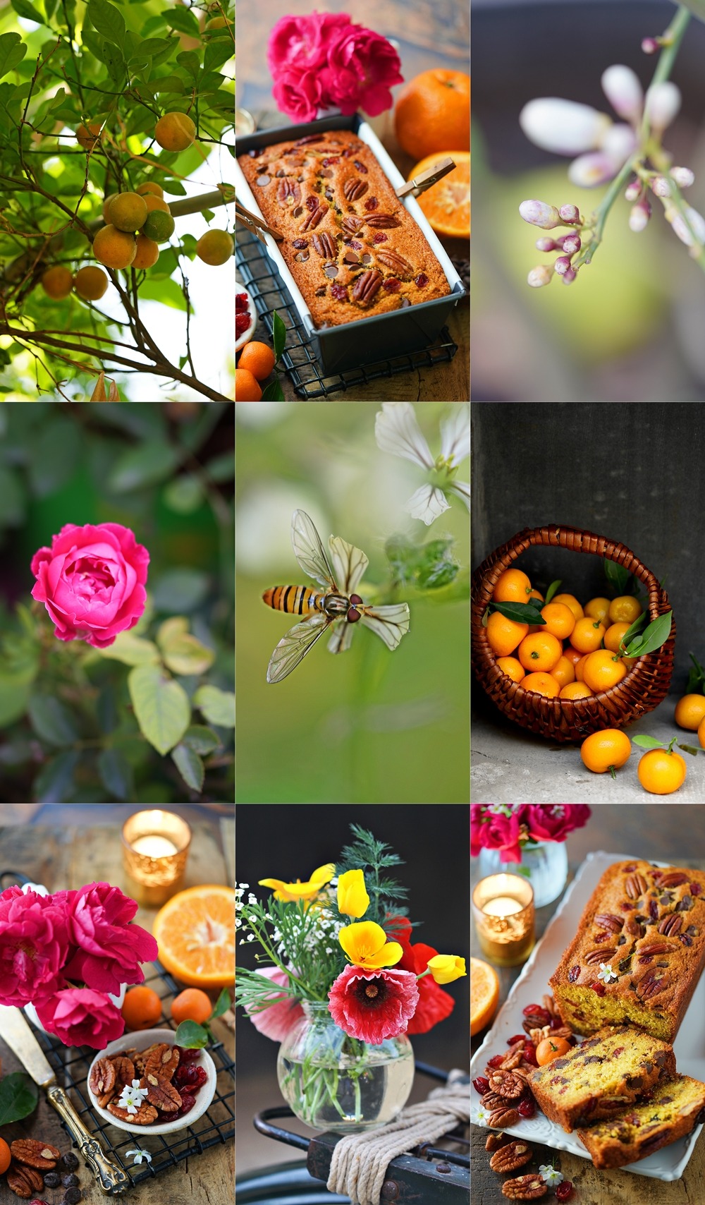 Eggless Orange Almond Pecan Cranberry Chocolate Chip Pound Cake Recipe