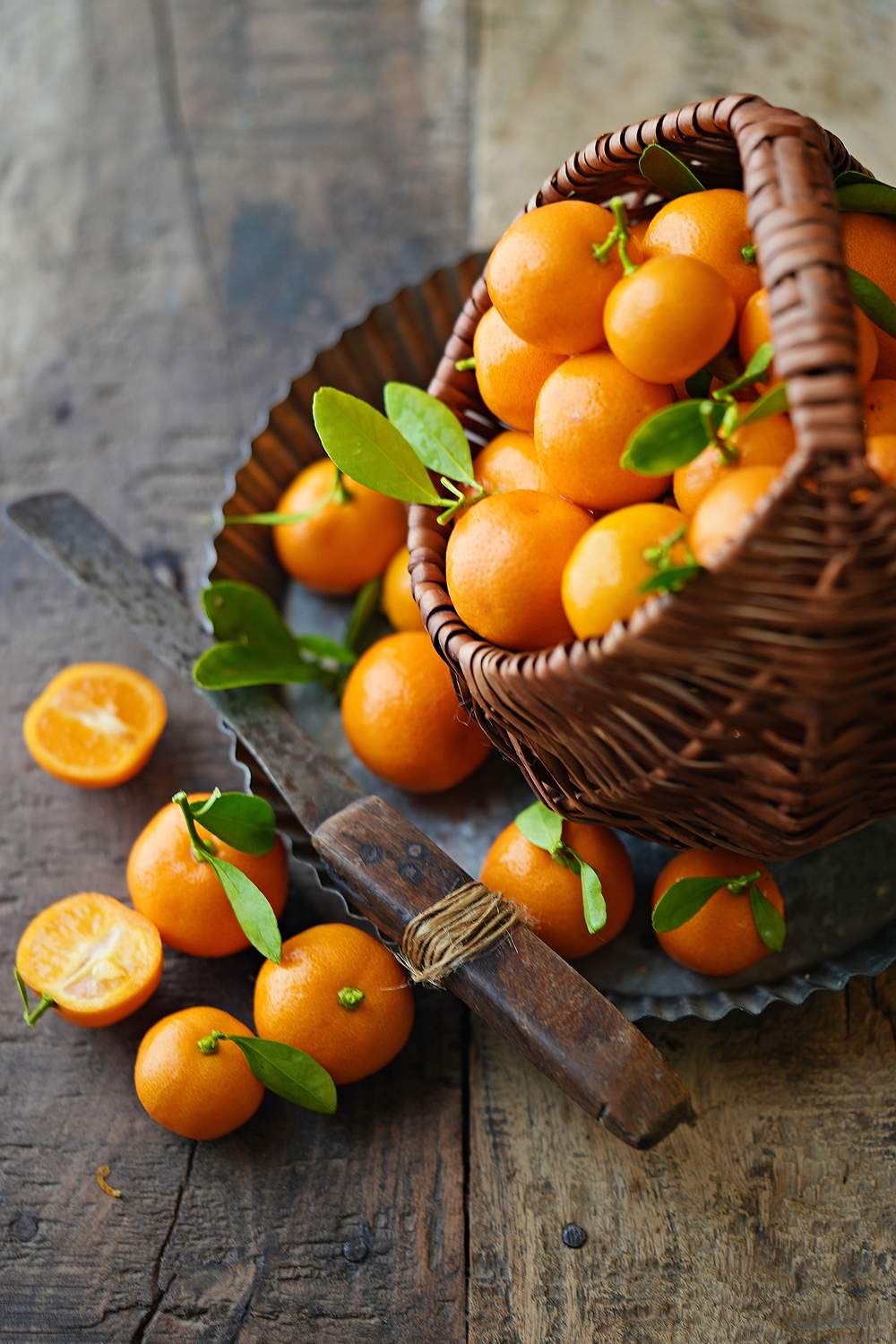 Narangis or Tangerines