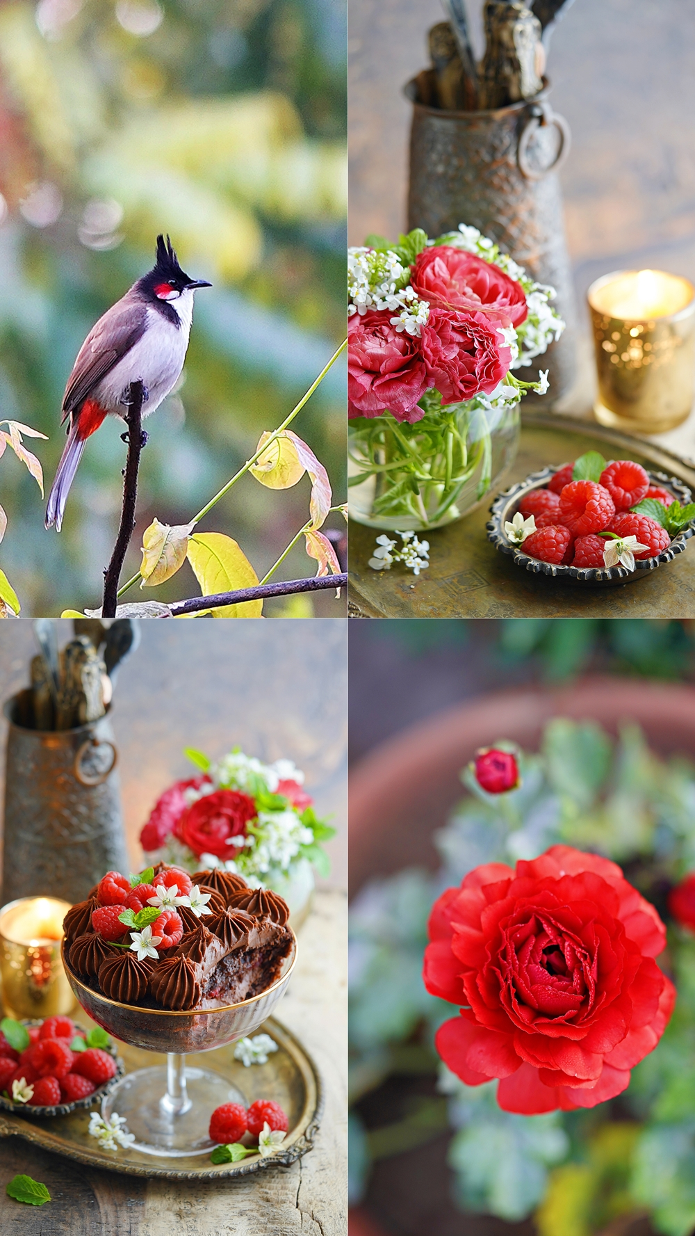 Eggless Chocolate Raspberry Trifles ... simple & delicious, pretty too