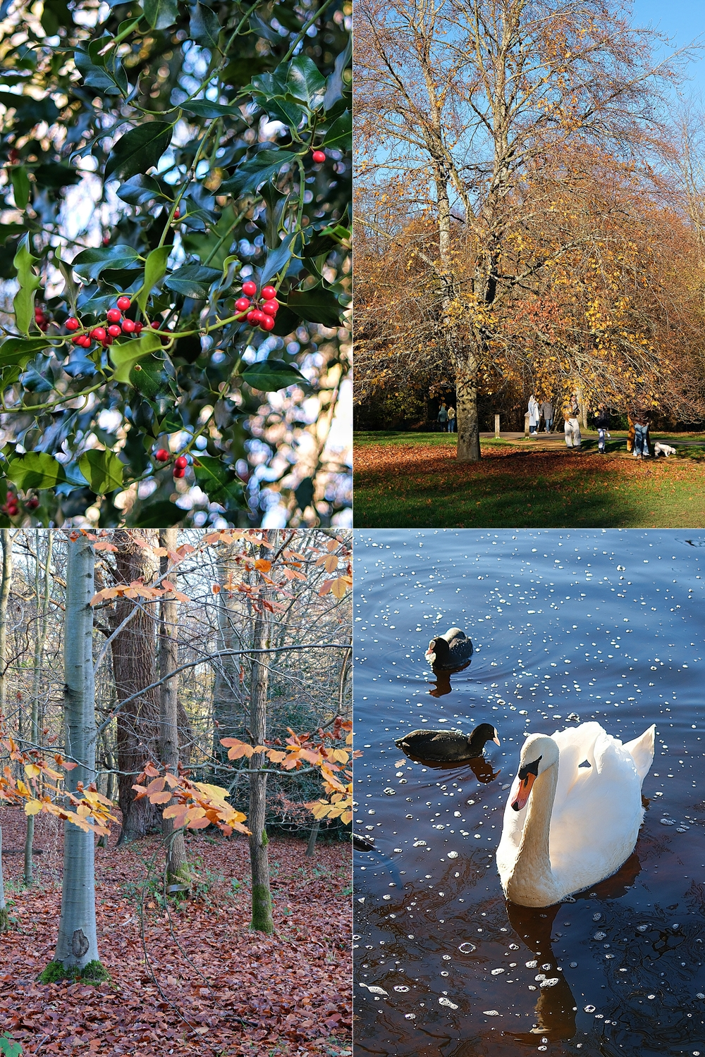 Virginia Water, Surrey, England