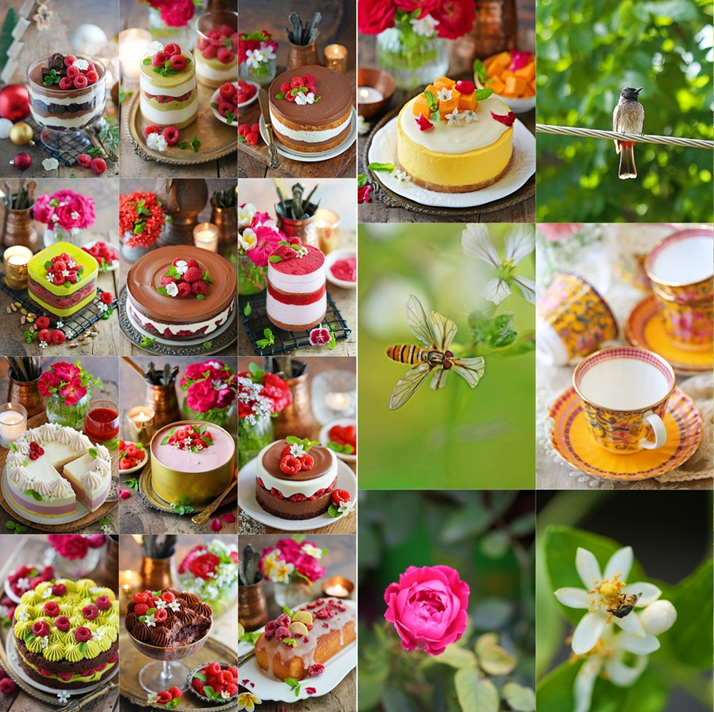 Spring in North India and dessert inspiration, 2026
