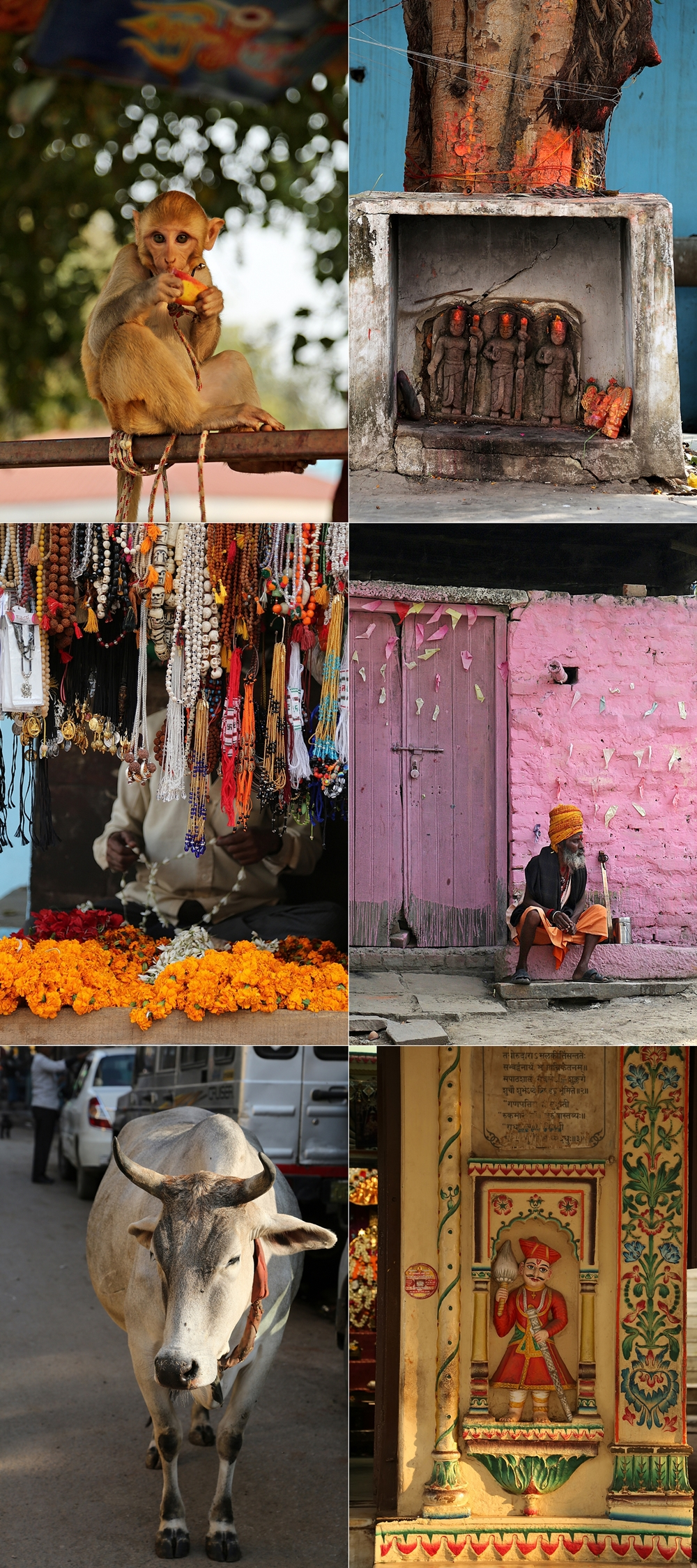 Banaras/ Varanasi India, colourful, chaotic, beautiful