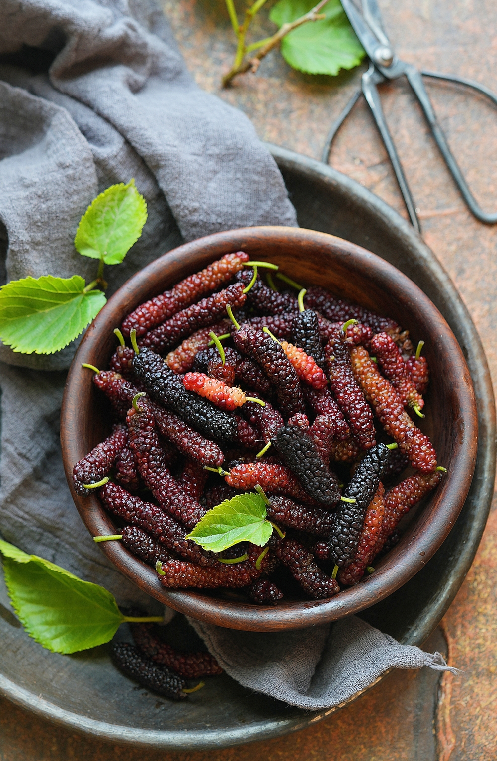 Mulberries / Shahtoot in season, North India. Styling & Photography